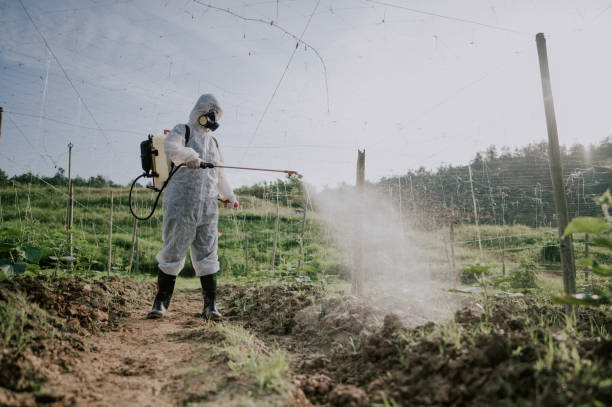 Pest Control Cost in Kingston, NY