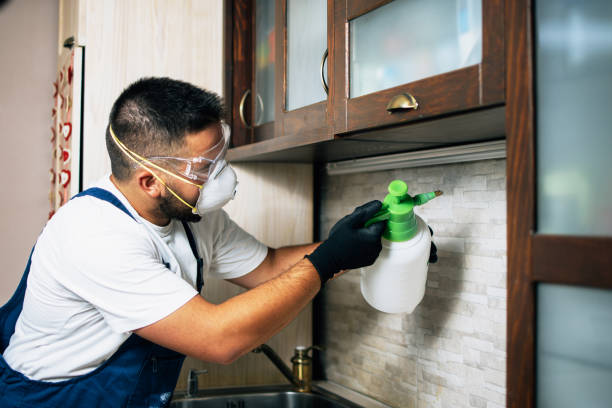 Best Ant Control Services  in Kingston, NY
