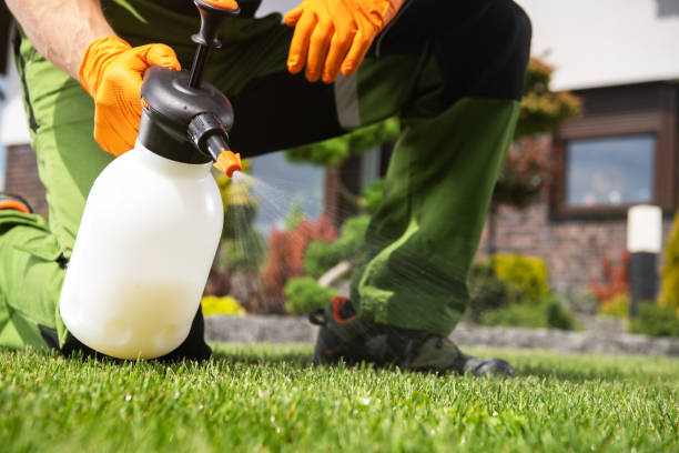 Best Best Pest Control Companies  in Kingston, NY