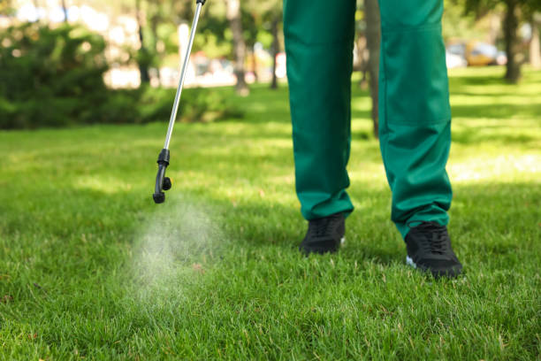 Best Pest Prevention Services  in Kingston, NY