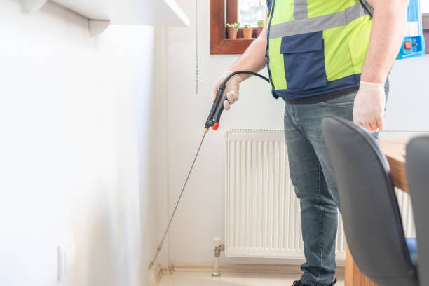 Best Local Pest Control Services  in Kingston, NY