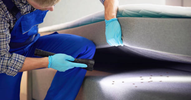 Best Affordable Pest Control Services  in Kingston, NY