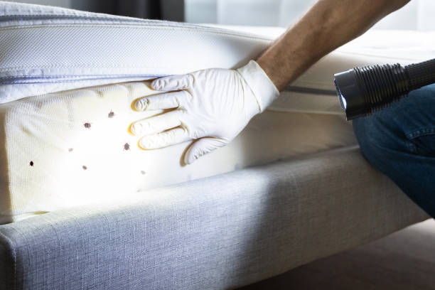Best Rat Extermination Near Me  in Kingston, NY
