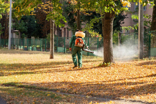 Best Rodent Control Near Me  in Kingston, NY