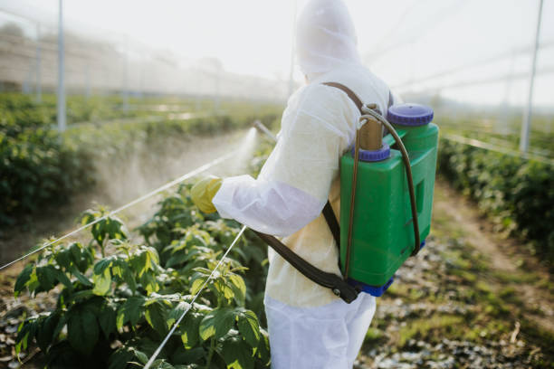 Best Exterminator Services  in Kingston, NY